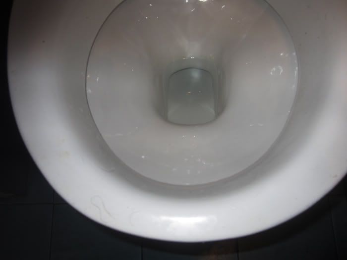 Toilet Seat Lid Up Or Down Etiquette the most toilet